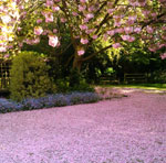 Spring
